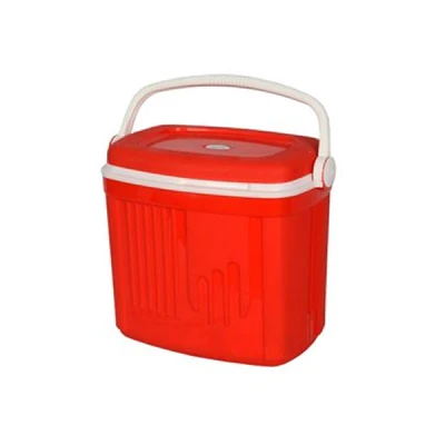 GLACIÈRE COOL BOX 30L SOTUFAB PLAST SOTUFAB PLAST - 5