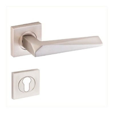 POIGNEE DE PORTE ROSACE PRIZMA TROU DE CYLINDRE SATINE DOGAN DOGANLAR - 1