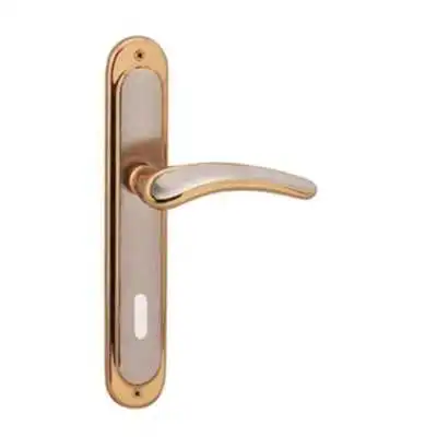 POIGNÉE DE PORTE SUR PLAQUE YAKUT PETIT TROU SATIN-ALBRIFINE DOGANLAR DOGANLAR - 1