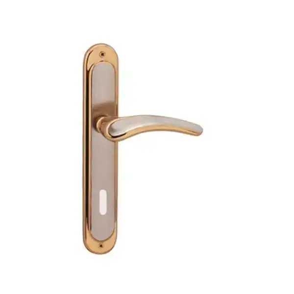 POIGNÉE DE PORTE SUR PLAQUE YAKUT PETIT TROU SATIN-ALBRIFINE DOGANLAR