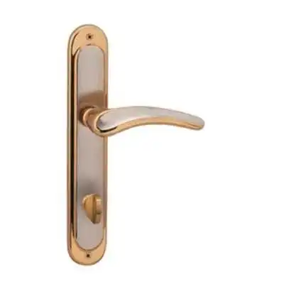 POIGNÉE DE PORTE SUR PLAQUE YAKUT CONDAMNATION SATIN-ALBRIFINE DOGANLAR DOGANLAR - 1