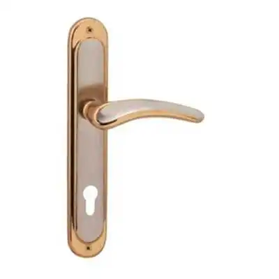 POIGNÉE DE PORTE SUR PLAQUE YAKUT GRAND TROU SATIN-ALBRIFINE DOGANLAR DOGANLAR - 1