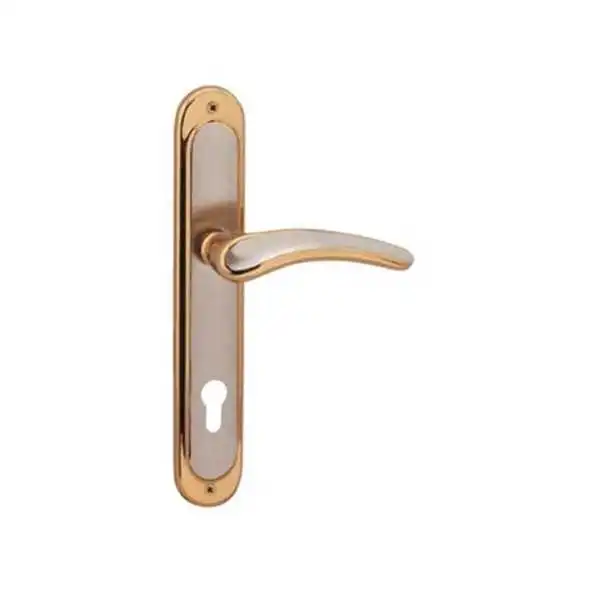 POIGNÉE DE PORTE SUR PLAQUE YAKUT GRAND TROU SATIN-ALBRIFINE DOGANLAR