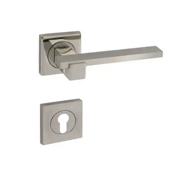 POIGNEE DE PORTE AVEC ROSACE PAYTAZ TROU DE CYLINDRE SATINE-CHROME DOGANLAR