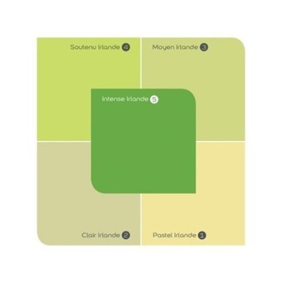 PEINTDECO IRLANDE SOUTEN 4KG ASTRAL