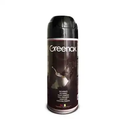 DÉCAPANT DISSOLVANT PEINTURE 400ML GREENOX PINTY PLUS - 1