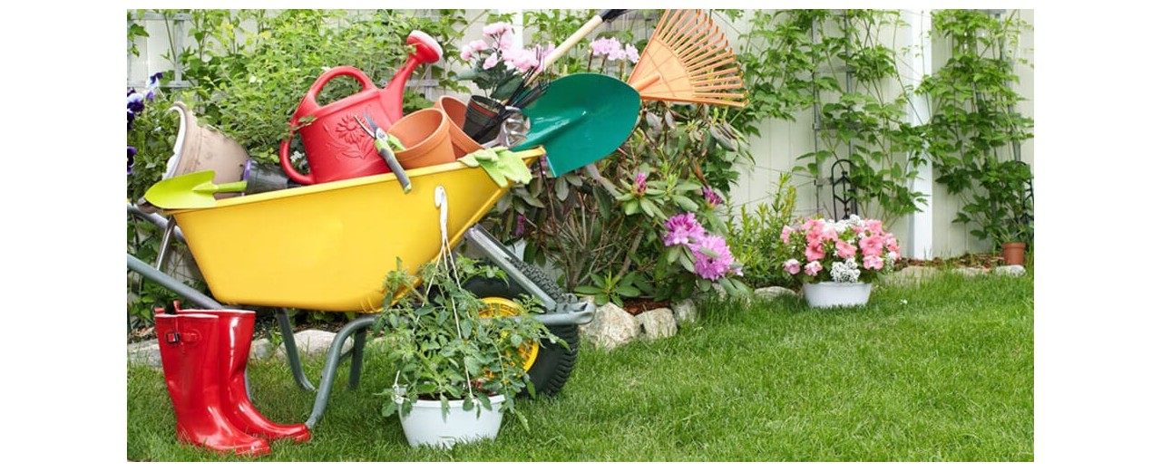 Découvrez les produits de jardinage Tunisie les plus utiles