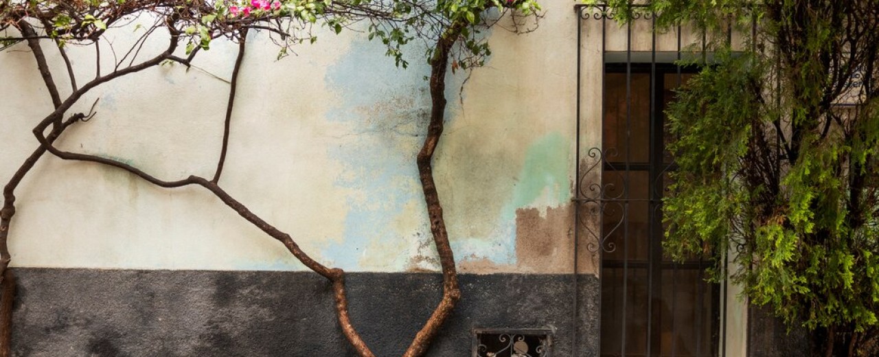 Entretenir et protéger surfaces peintes à l'extérieur 