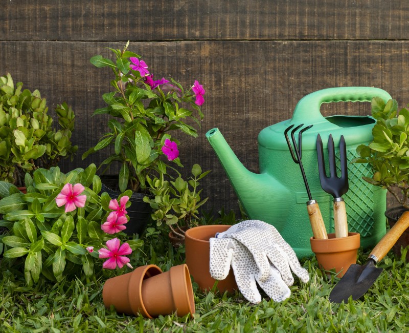 Comment aménager votre jardin avant l'arrivée du printemps ?